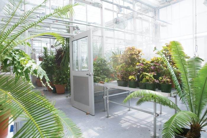 KHS greenhouse